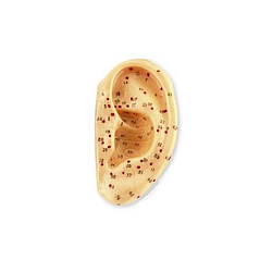 Oreja caucho