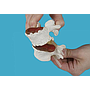 Modelo degeneración vertebral desmontable y flexible